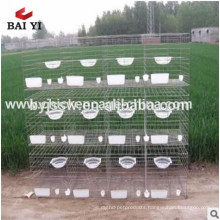 Professional Manufacturer of Pigeon Breeding Cage /Wire Mesh Pigeon Cage